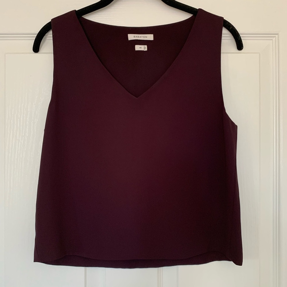 Aritzia Babaton cropped v neck tank